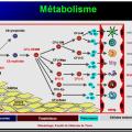 Images sélectionnées médicaments antianémiques11