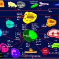 Images sélectionnées réactions d'hypersensibilité11