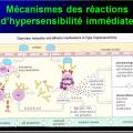 Images sélectionnées réactions d'hypersensibilité4