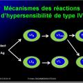 Images sélectionnées réactions d'hypersensibilité9