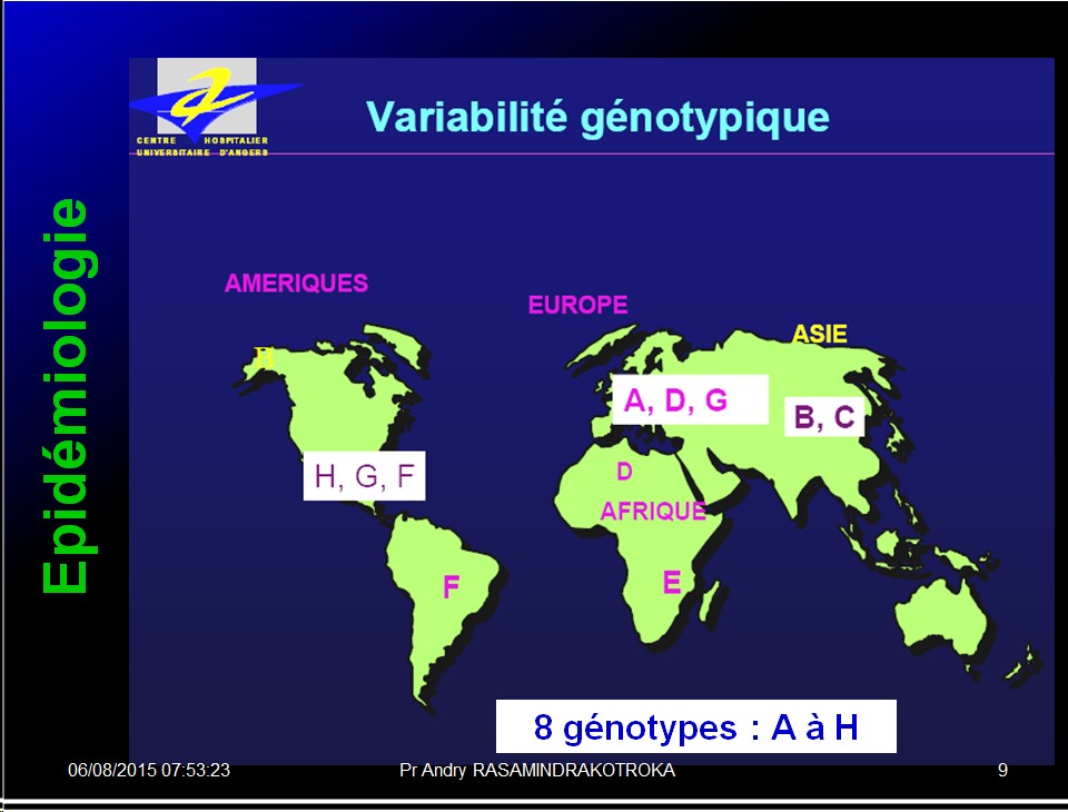 Images sélectionnées virus des hépatites10