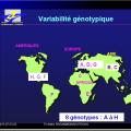 Images sélectionnées virus des hépatites10