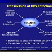 Images sélectionnées virus des hépatites11