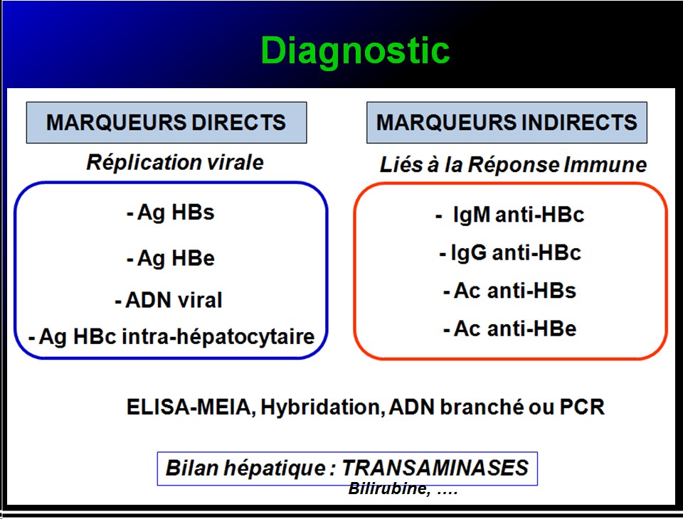 Images sélectionnées virus des hépatites12