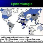 Images sélectionnées virus des hépatites17