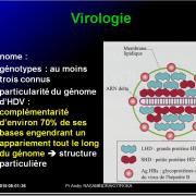 Images sélectionnées virus des hépatites18