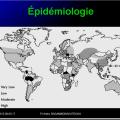 Images sélectionnées virus des hépatites19