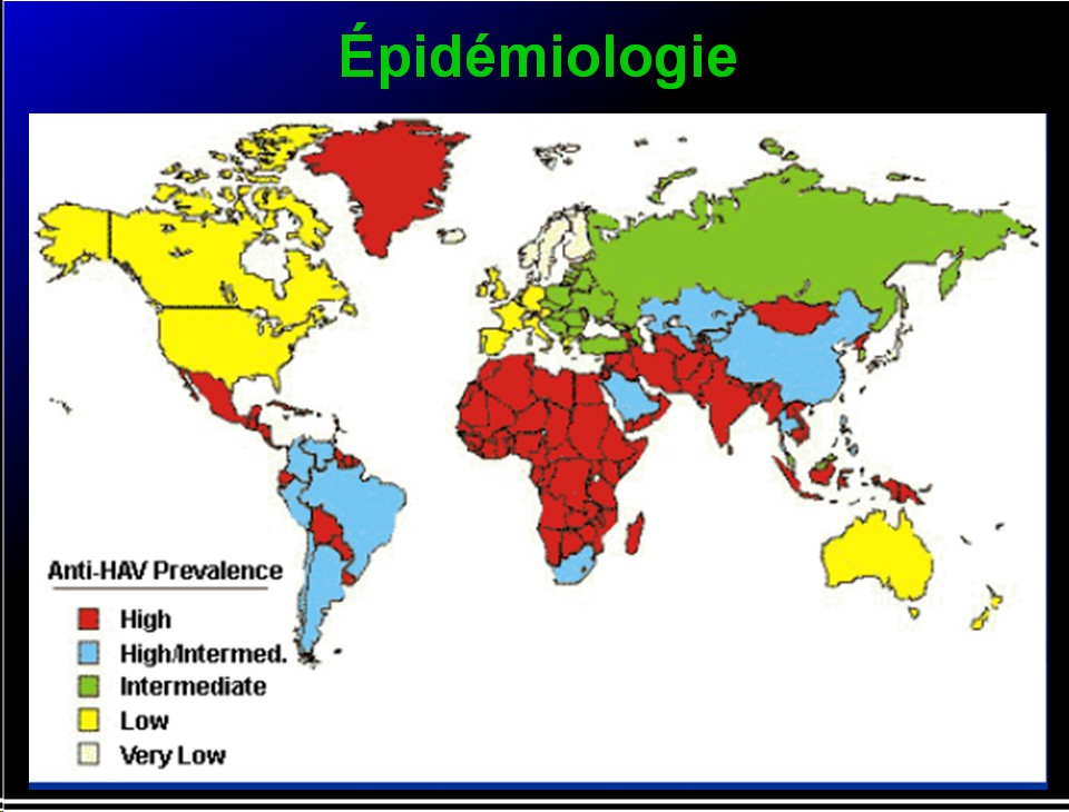 Images sélectionnées virus des hépatites3