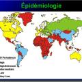 Images sélectionnées virus des hépatites3