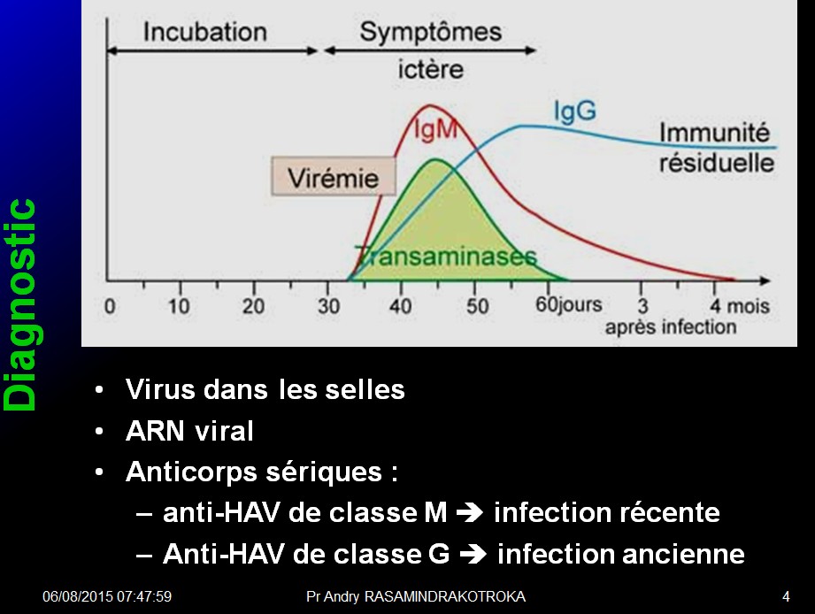 Images sélectionnées virus des hépatites4
