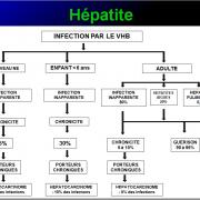 Images sélectionnées virus des hépatites8