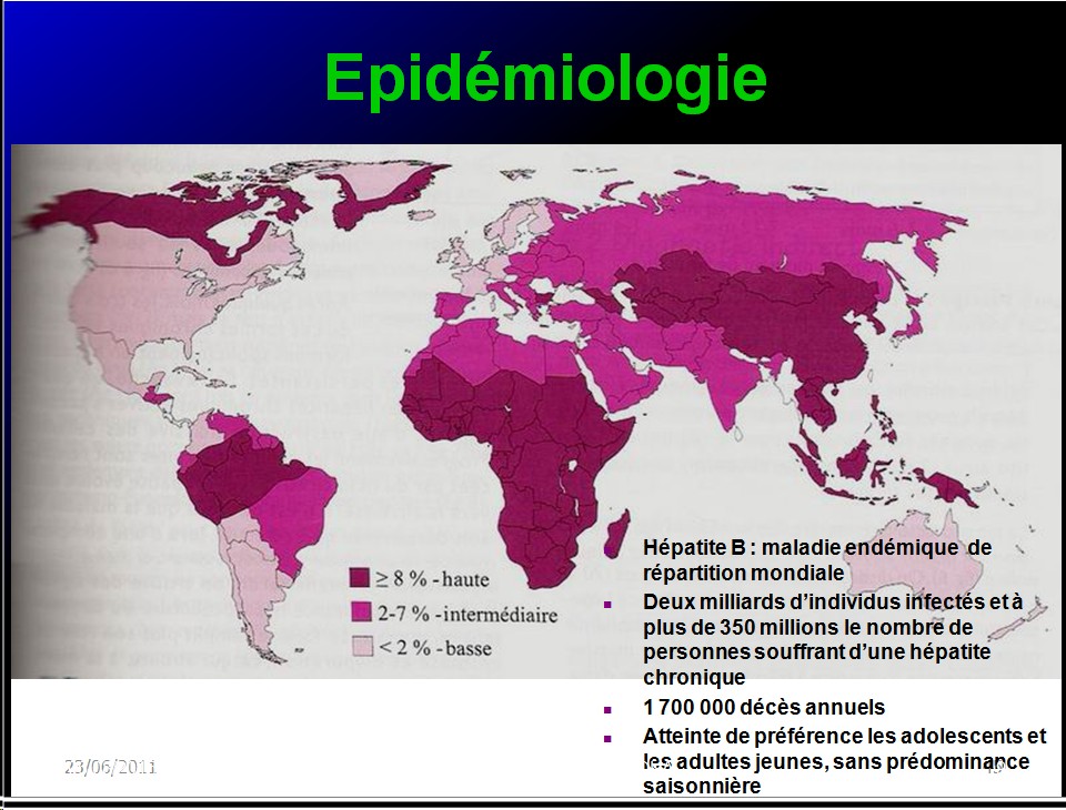 Images sélectionnées virus des hépatites9