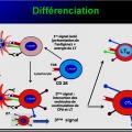 Immunité adaptative 17