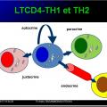 Immunité adaptative 19