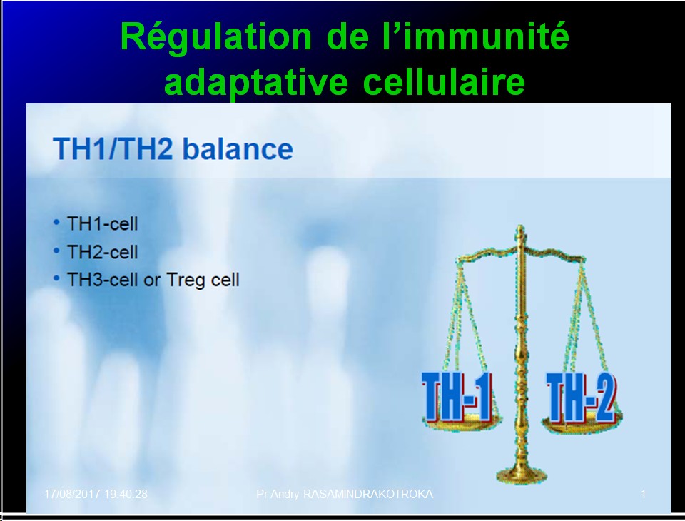 Immunité adaptative 25