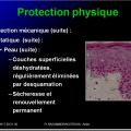 Immunité naturelle 2
