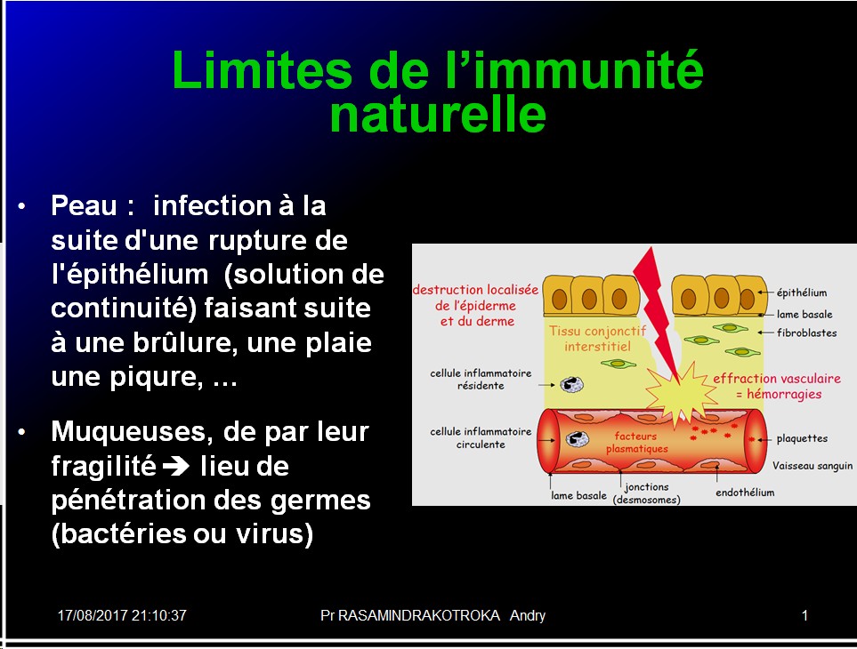 Immunité naturelle 29