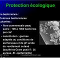 Immunité naturelle 4