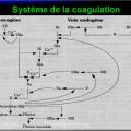 Immunité naturelle 6