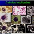 Immunité naturelle 9