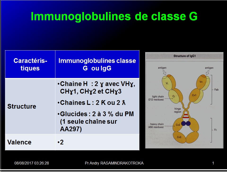 Immunoglobulines 10