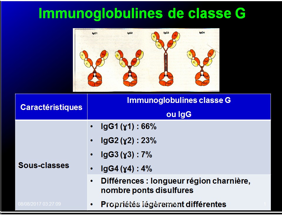 Immunoglobulines 11