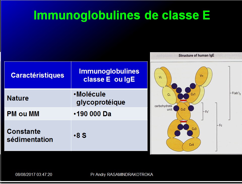 Immunoglobulines 32