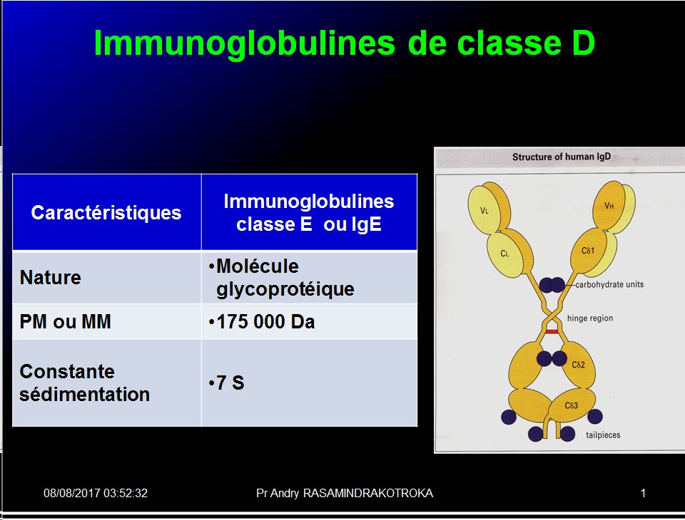 Immunoglobulines 39