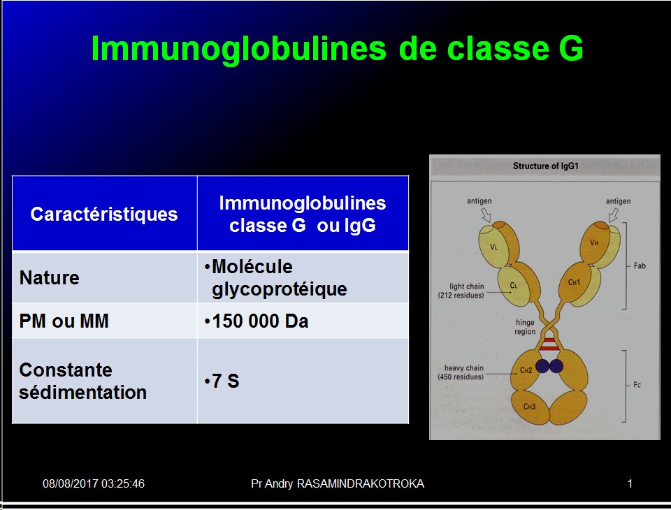 Immunoglobulines 9
