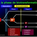 Interactions médicamenteuses 10