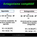 Interactions médicamenteuses 15