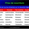 Interactions médicamenteuses 7