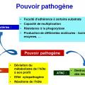 Introduction 6