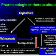 Introduction à la pharmacologie 11