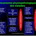 Introduction à la Pharmacologie spéciale 2