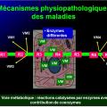 Introduction à la Pharmacologie spéciale 3