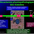 Introduction à la Pharmacologie spéciale 4