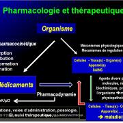 Introduction à la Pharmacologie spéciale 8
