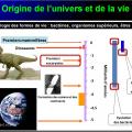 Introduction structures et fonctions des biomolécules 3