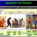 Introduction structures et fonctions des biomolécules 4