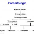 Leishmania et leishmaniose 1