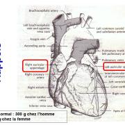 Marqueurs cardiaques 1