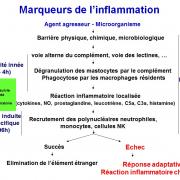 Marqueurs de l'inflammation 1