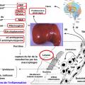 Marqueurs de l'inflammation 2