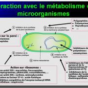 Mécanismes d'action des médicaments 9