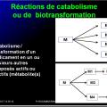 Métabolisme des médicaments 2