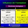 Modalités de passage des médicaments à travers membrane biologique et épithélium 10