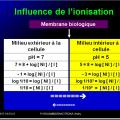 Modalités de passage des médicaments à travers membrane biologique et épithélium 11