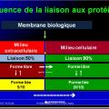 Modalités de passage des médicaments à travers membrane biologique et épithélium 13