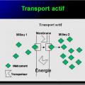 Modalités de passage des médicaments à travers membrane biologique et épithélium 15
